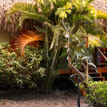 Mondi Lodge Sint Michiel Екстер'єр фото