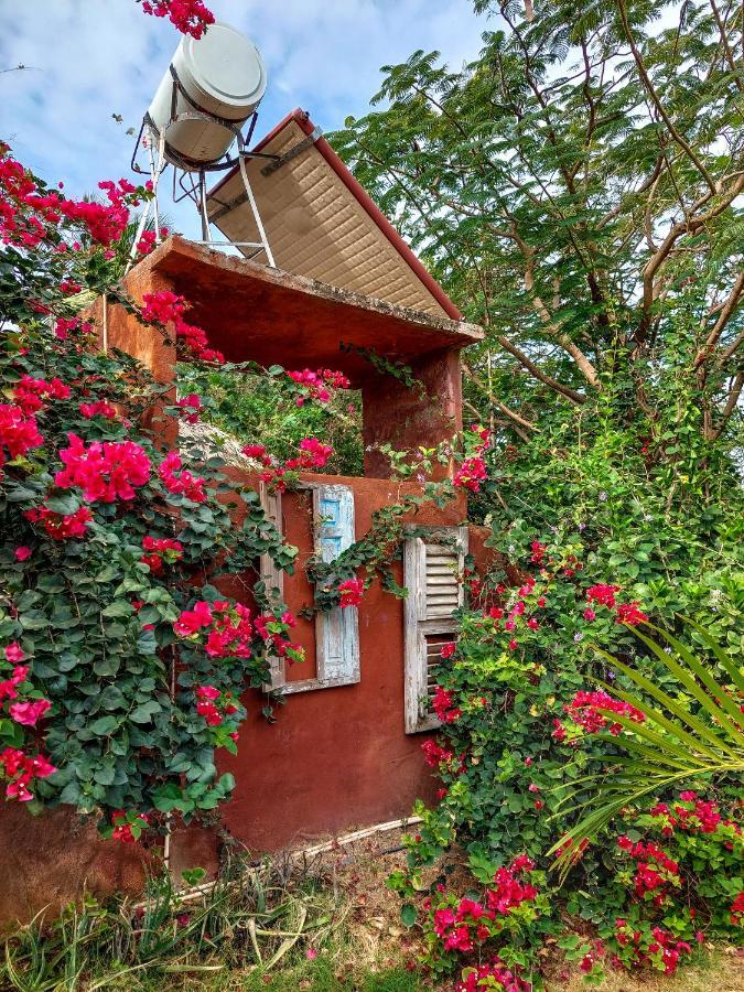 Mondi Lodge Sint Michiel Екстер'єр фото