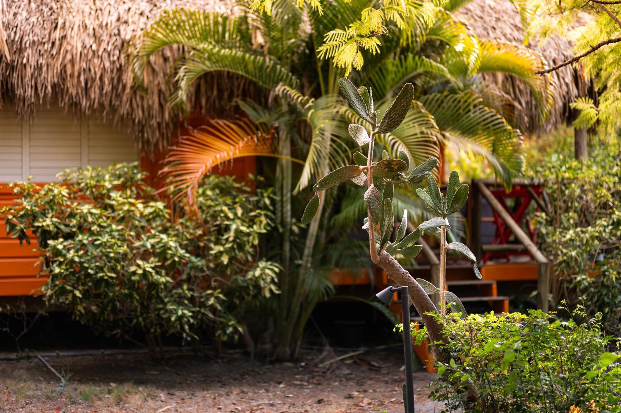 Mondi Lodge Sint Michiel Екстер'єр фото